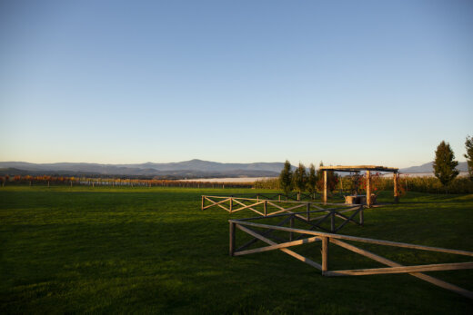In the most beautiful setting with Autumn hues in the Yarra Valley - Meletos with an optional upgrade for overnight stay - Please get in touch if you would like this option!